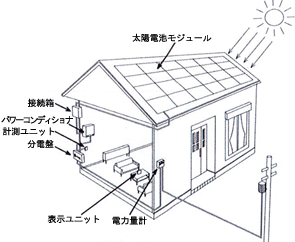 屋上緑化で排ガス処理（特許製品）